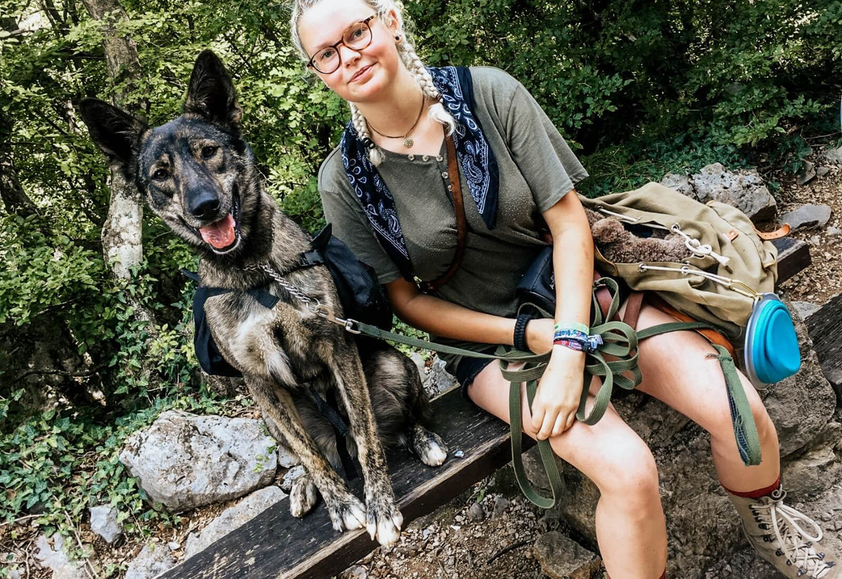 Camping mit Hund - Erfahrungen & Tipps – Pawsome Hundeblog