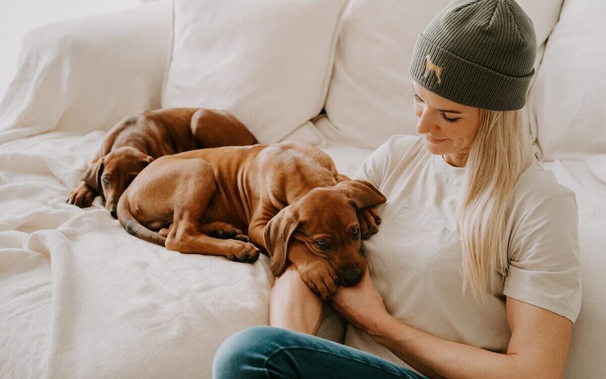 Trennungsstress beim Hund: Woher kommt die Angst & was kann man tun? – Pawsome Hundeblog