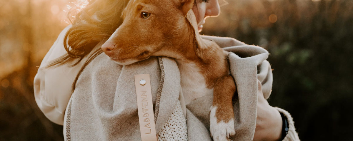 Kuschelige Hundedecken aus Cord und Teddy-Fleece, genäht von unserer Schneiderin in Portugal – Pawsome Hundezubehör