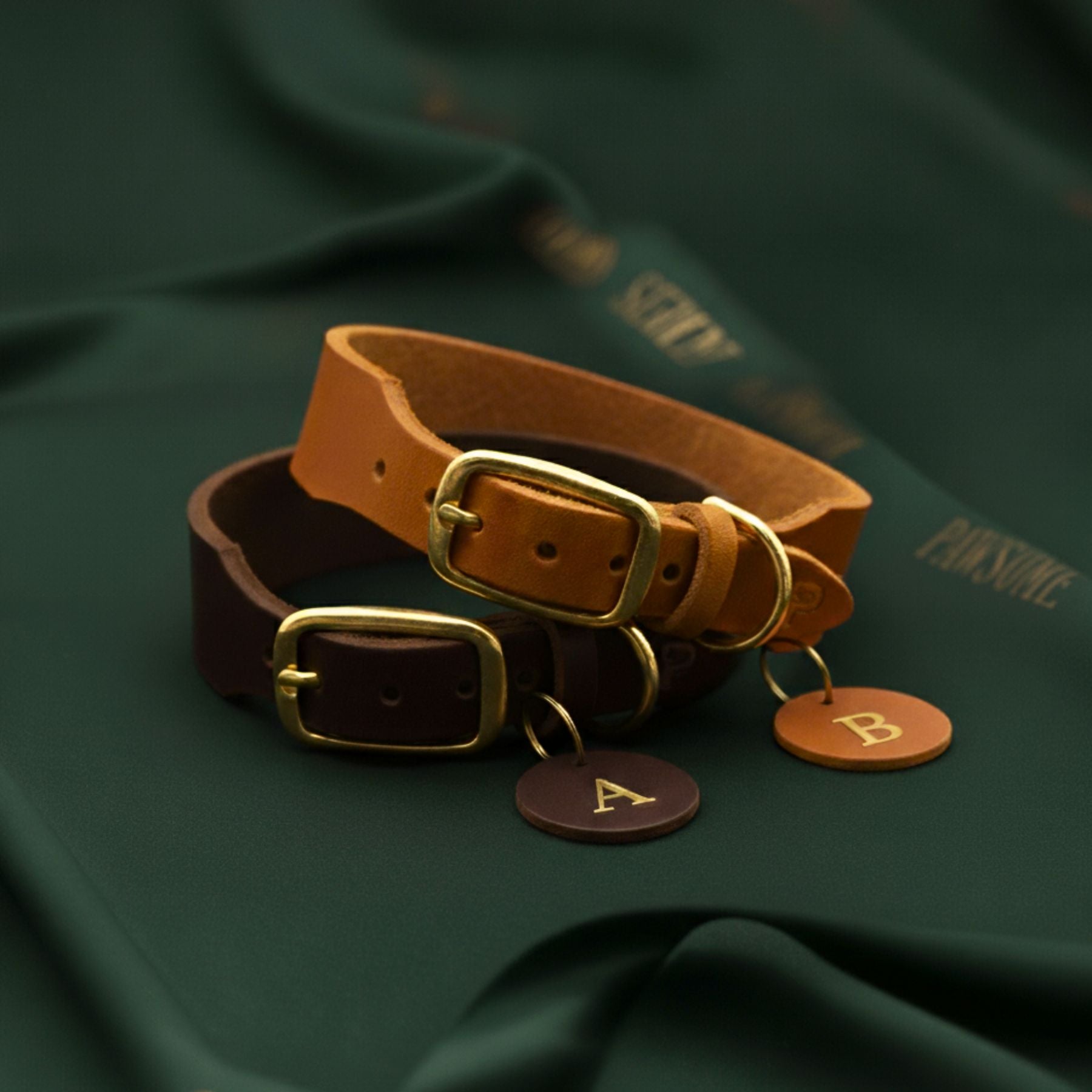 Set | Lederhalsband & Leine in Olive
