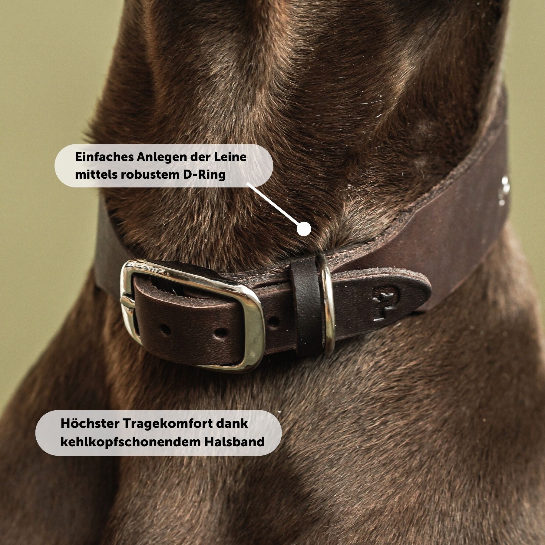 Personalisierbares Lederhalsband mit Name | Kastanie