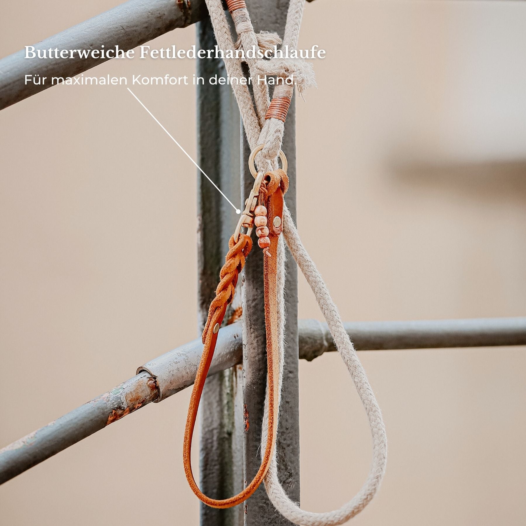 Essentials Walk Bundle | Lederhalsband + Tauleine Earthy + Hundemarke