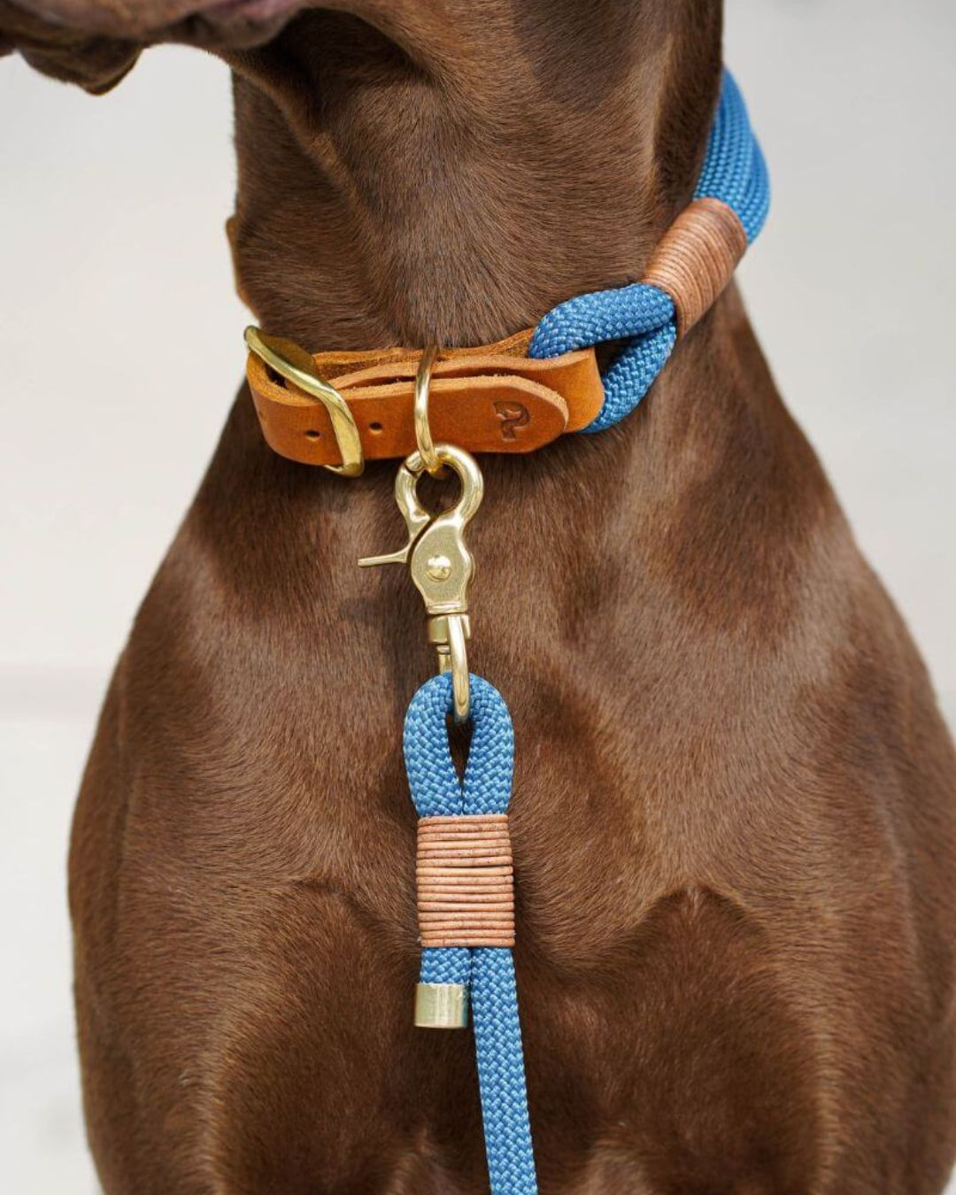 Tauhalsband 'Dusty Blue' aus Kletterseil nach Maß: Tauhalsband in Messing- oder Edelstahl-Variante – Pawsome Hundezubehör