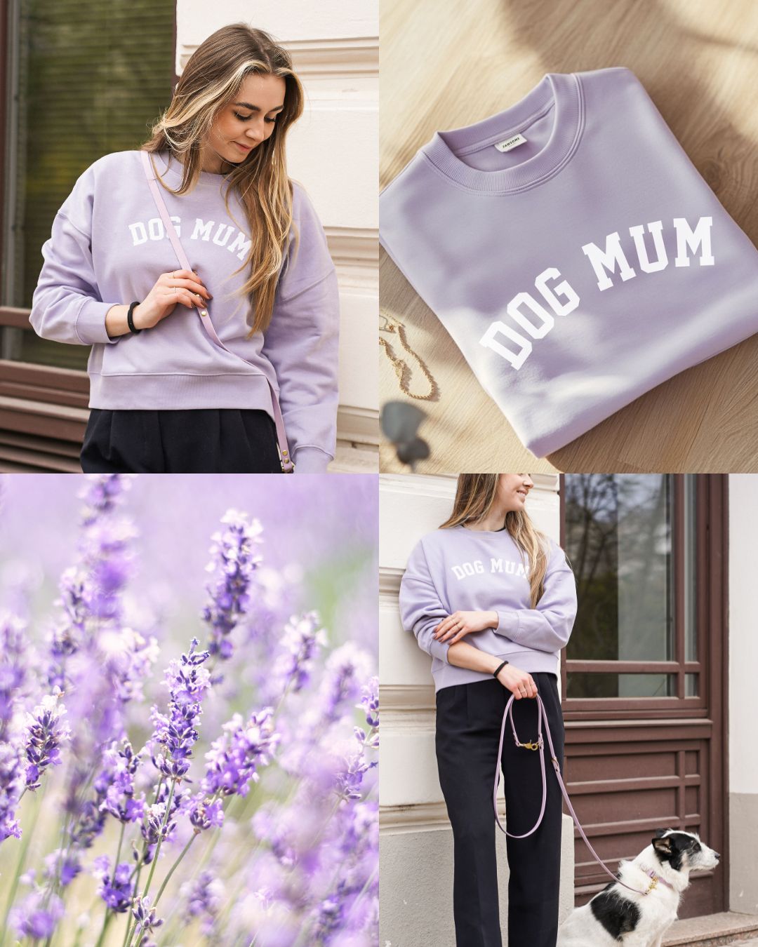 Set | Halsband & Leine aus Biothane® 'Lavendel'