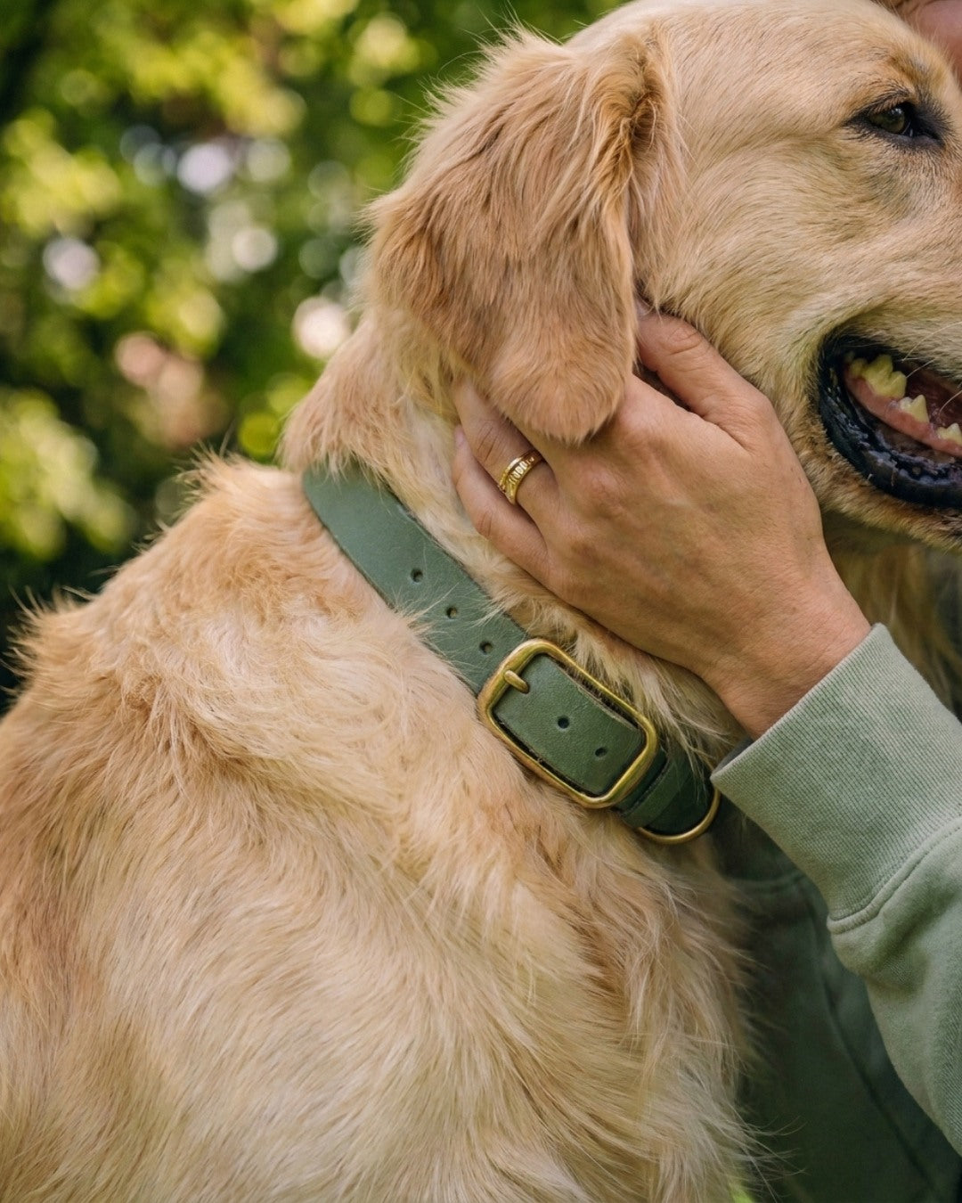 Biothane® Halsband 'Foggy Green'