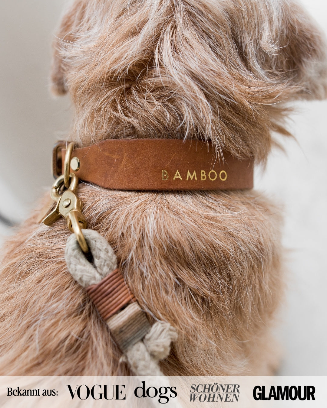 Set | Lederhalsband & Leine in Cognac