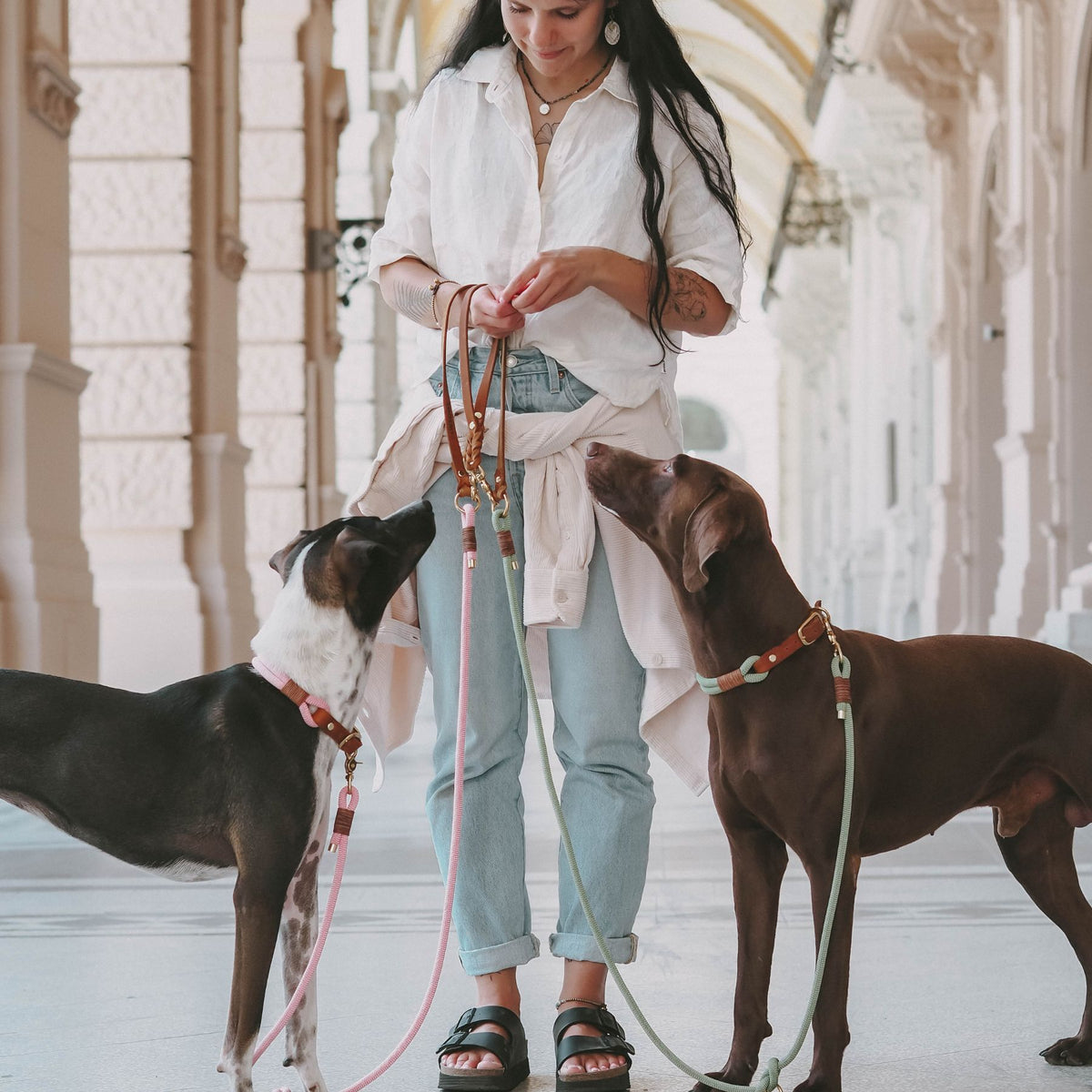B-Ware Tauhalsband 'Cleo' zum Sonderpreis: Kletterseil-Farbe im Tageslicht – Pawsome Hundezubehör