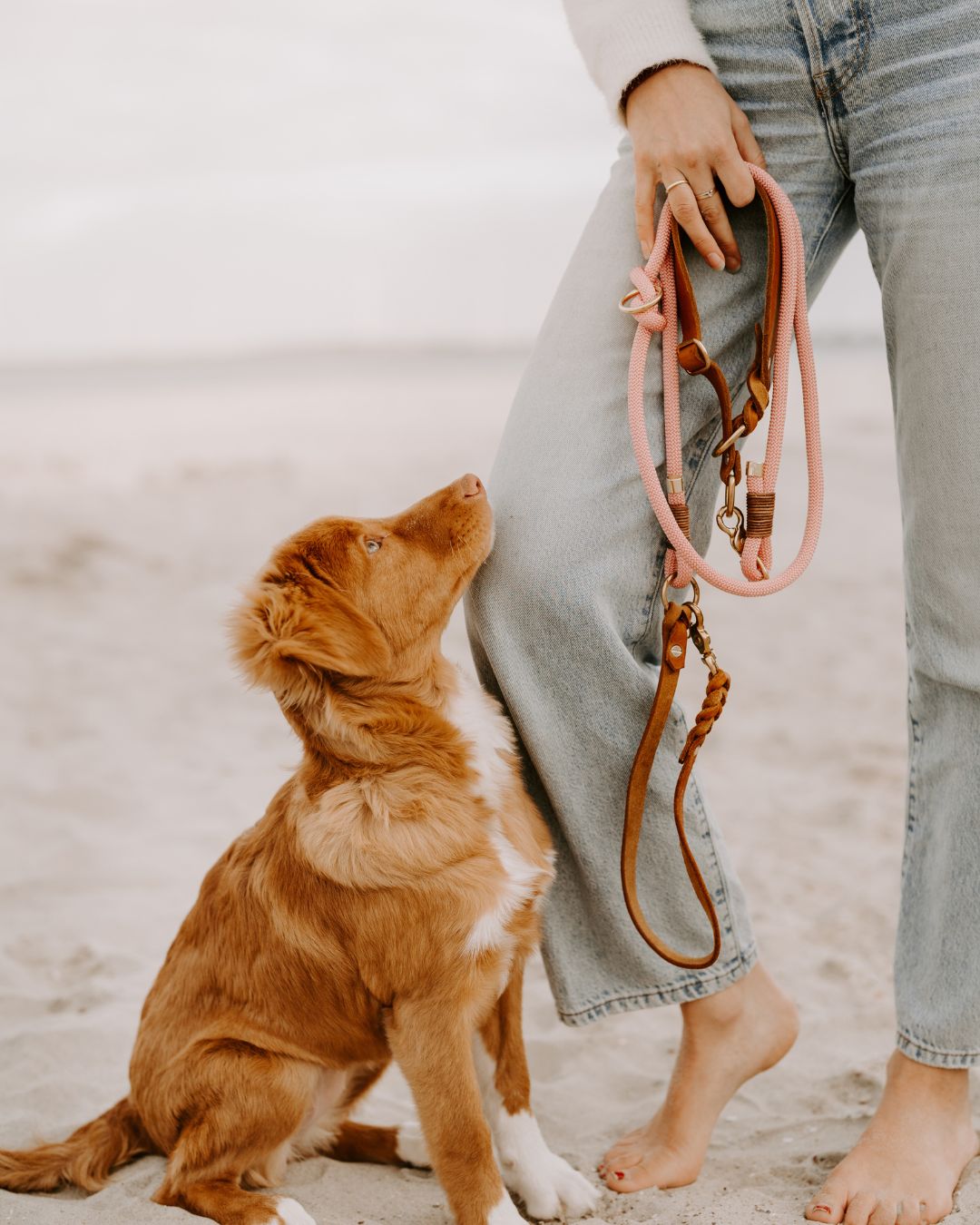 Tauleine 'Honey' aus Kletterseil, handgefertigt: Robuste Hundeleine aus Kletterseil für jedes Wetter – Pawsome Hundezubehör