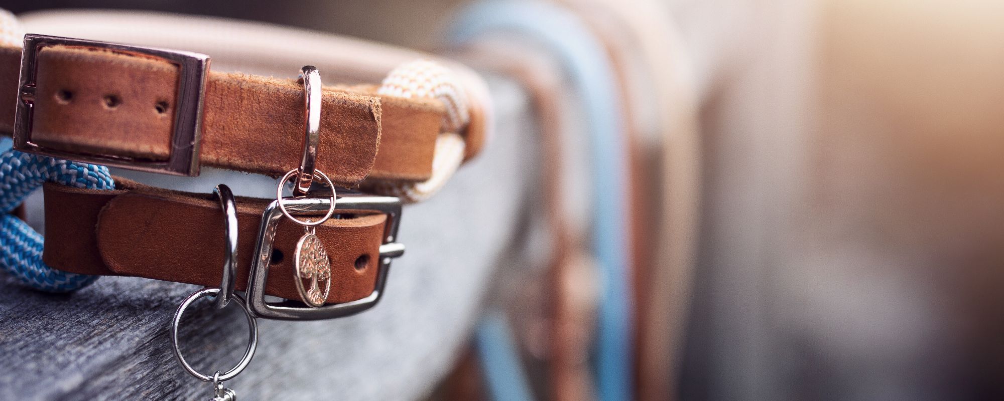 DESIGN YOUR OWN | Halsband
