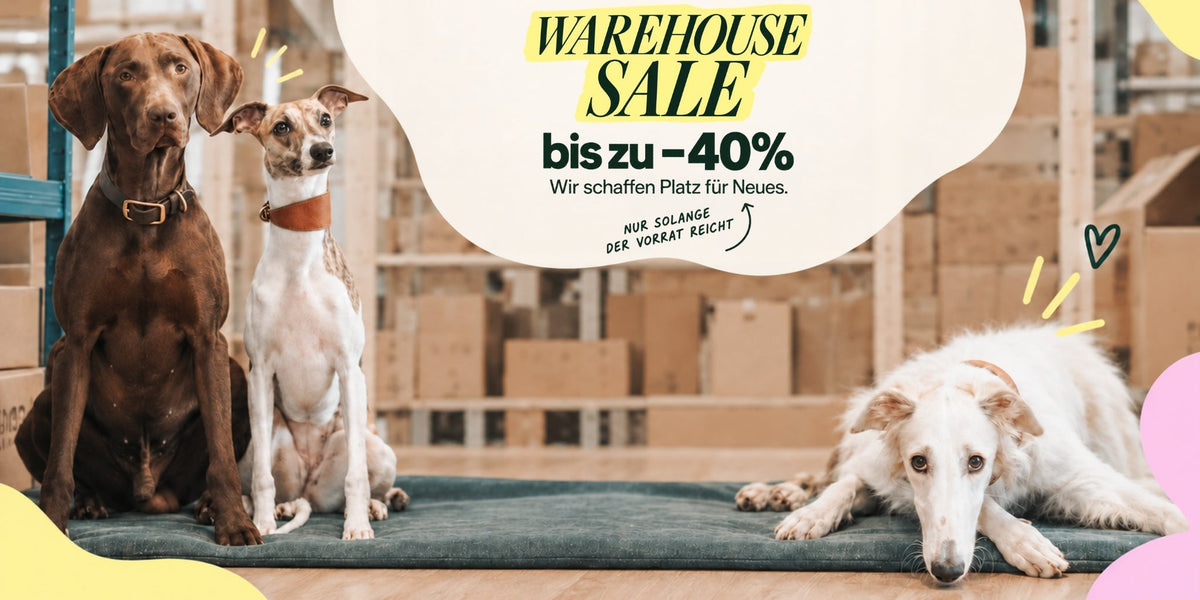 Warehouse Sale 2026 mit reduziertem Hundezubehör – Pawsome Hundezubehör