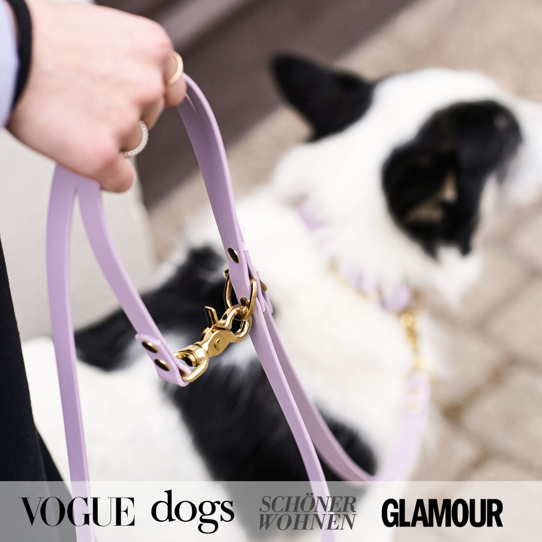 Set | Halsband & Leine aus Biothane® 'Lavendel'
