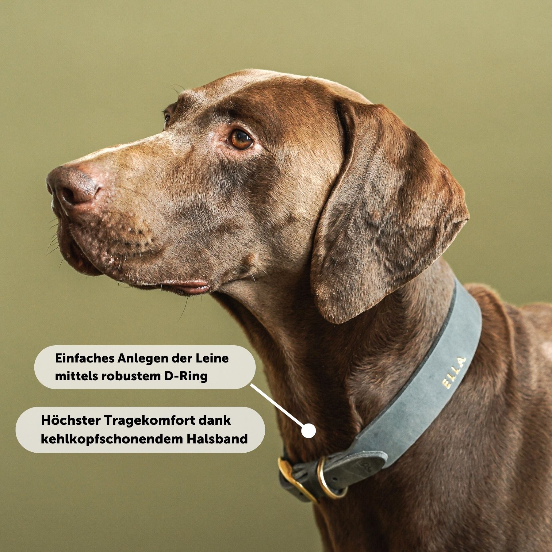 Personalisierbares Lederhalsband  mit Name | Steingrau