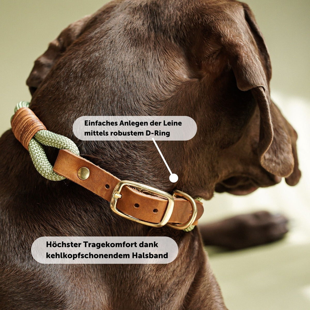 Vorteile von B-Ware Tauhalsband 'Cleo' zum Sonderpreis: Maßfertigung, robuste Materialien und Handarbeit aus Wien – Pawsome Hundezubehör