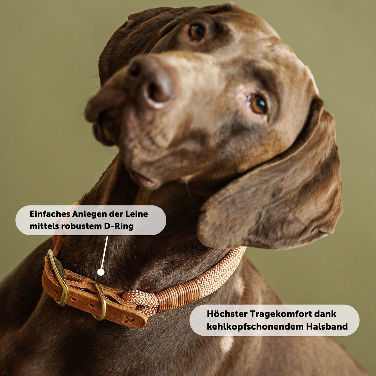 Vorteile von Tauhalsband 'Honey' aus Kletterseil nach Maß: Maßfertigung, robuste Materialien und Handarbeit aus Wien – Pawsome Hundezubehör