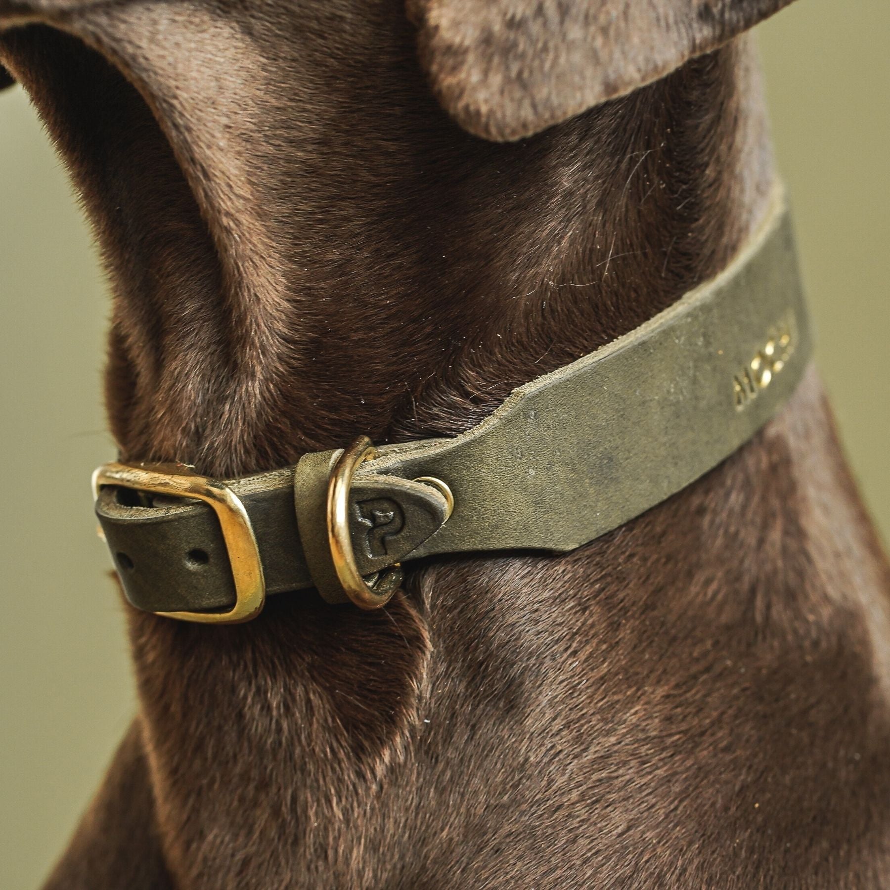 Personalisierbares Lederhalsband  mit Name | Olive