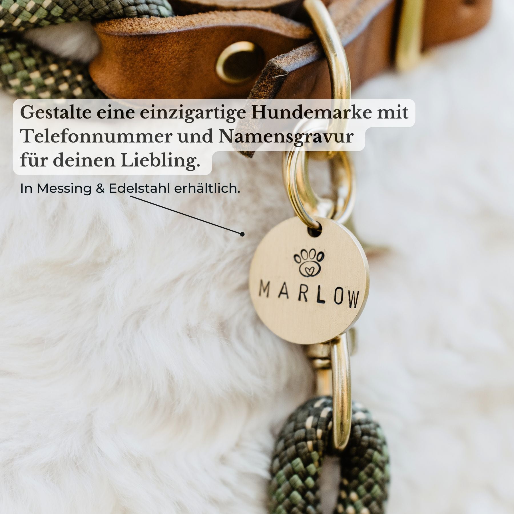 Leather Walk Bundle | Lederhalsband + Lederleine + Hundemarke