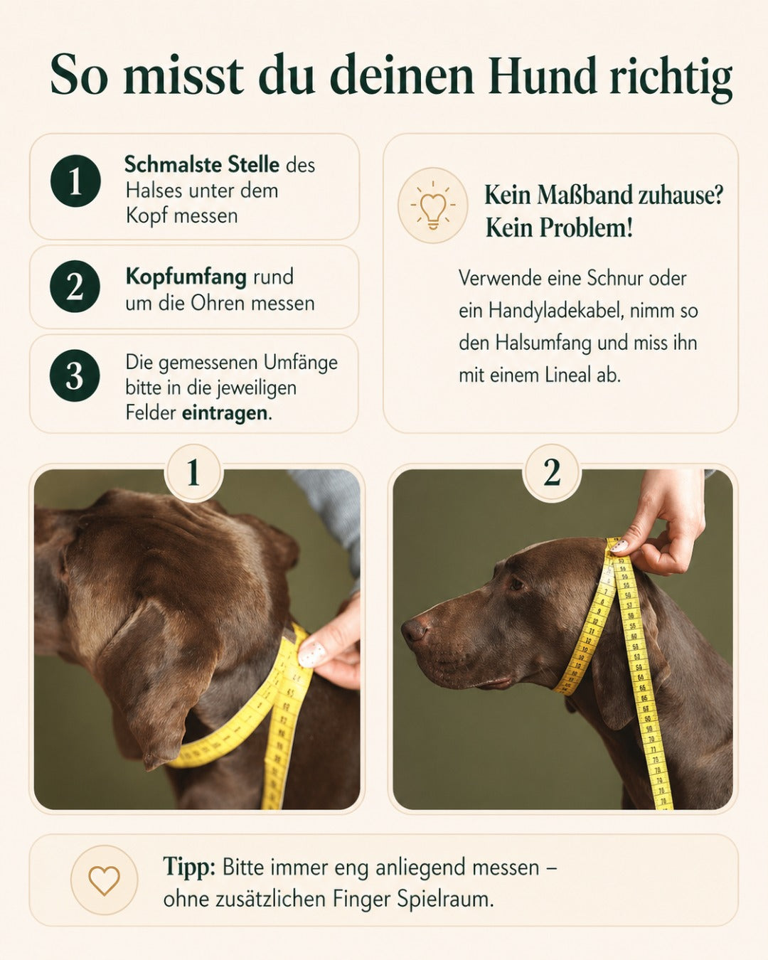 Zugstopp-Halsband aus Fettleder 'Kastanie'