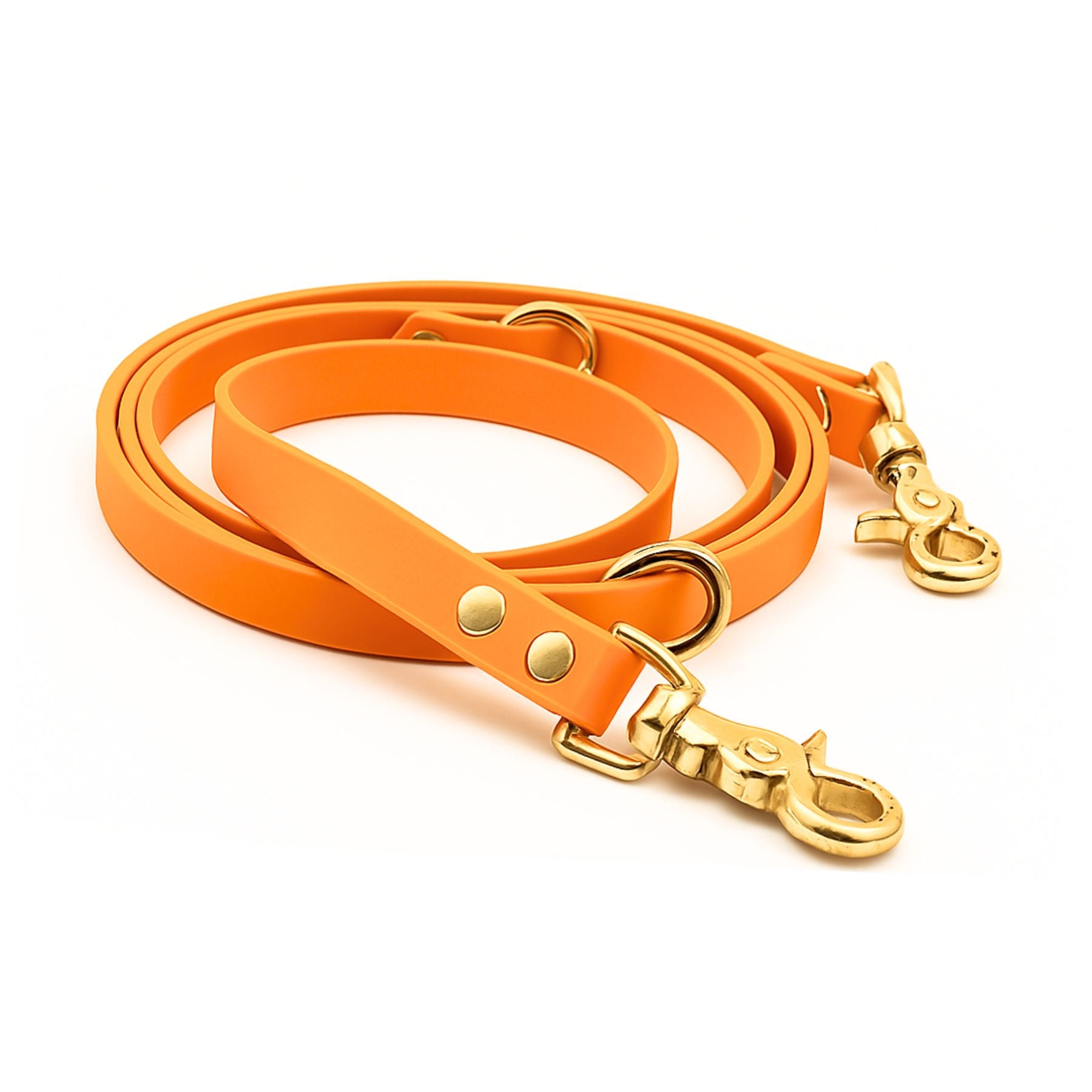 B:Ware | Hundeleine aus Biothane® 'Clementine'