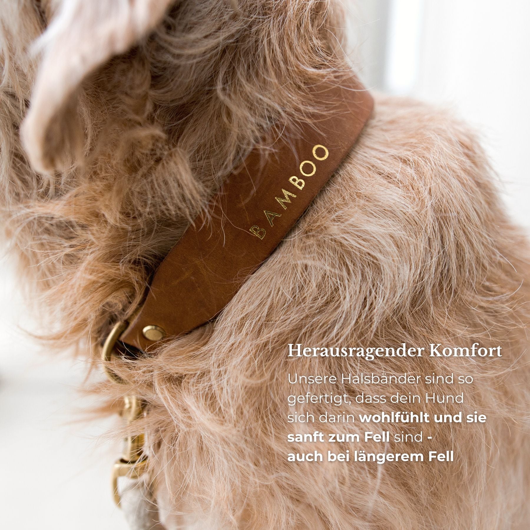 Personalisierbares Lederhalsband  mit Name | Cognac