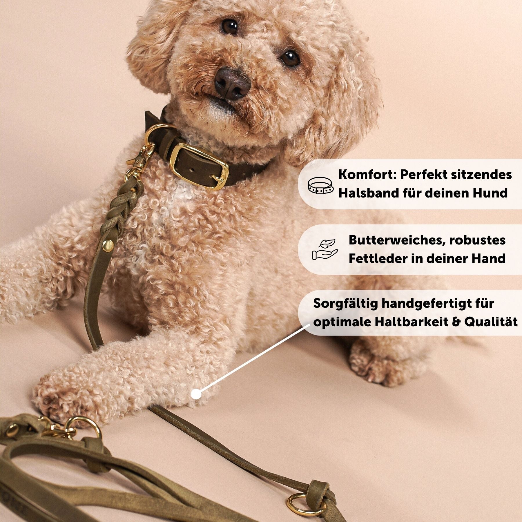 Personalisierbares Lederhalsband  mit Name | Olive