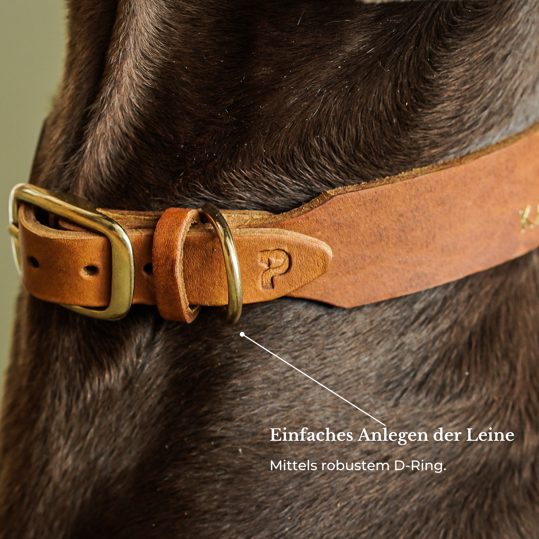 Personalisierbares Lederhalsband  mit Name | Cognac