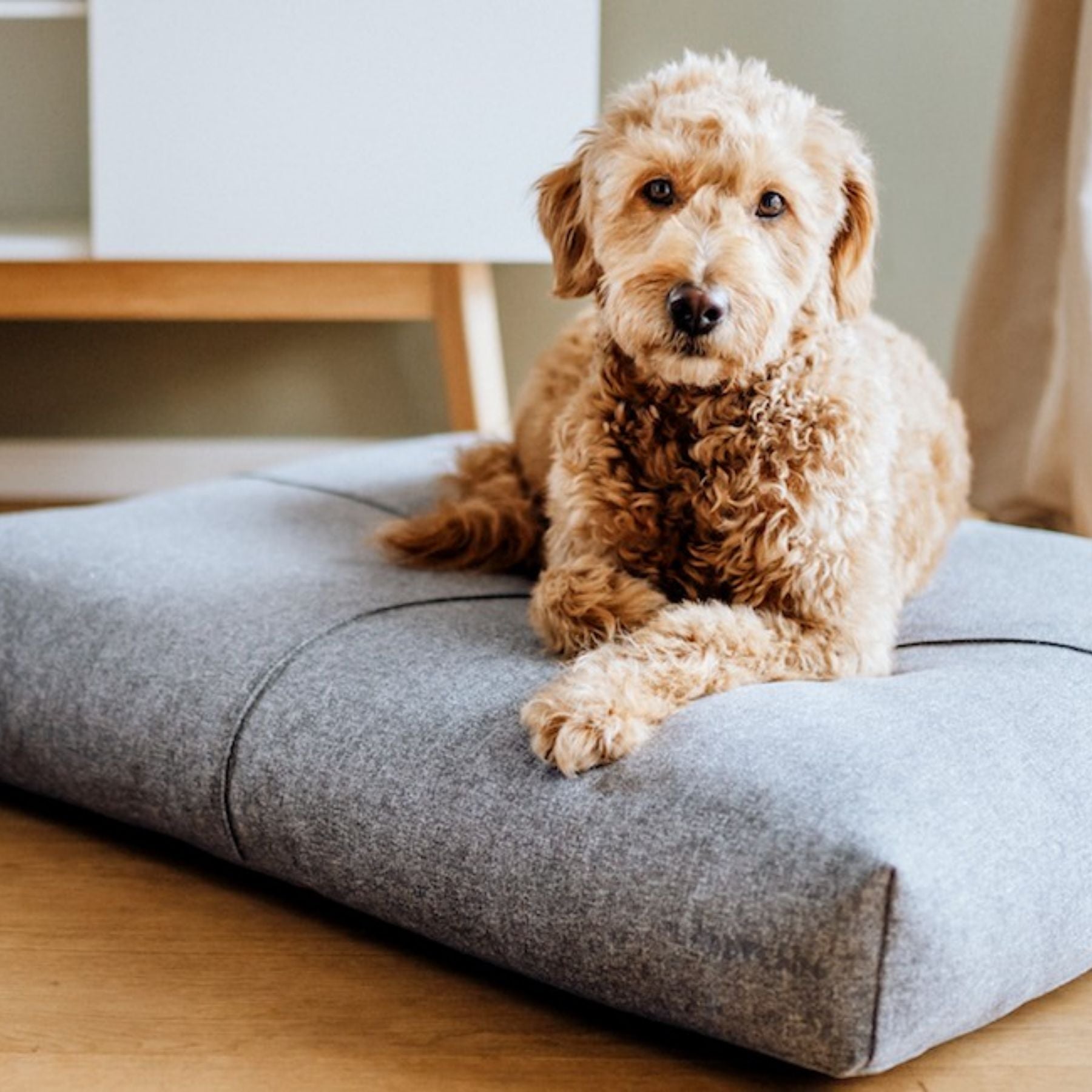 Hundekissen 'Finno'