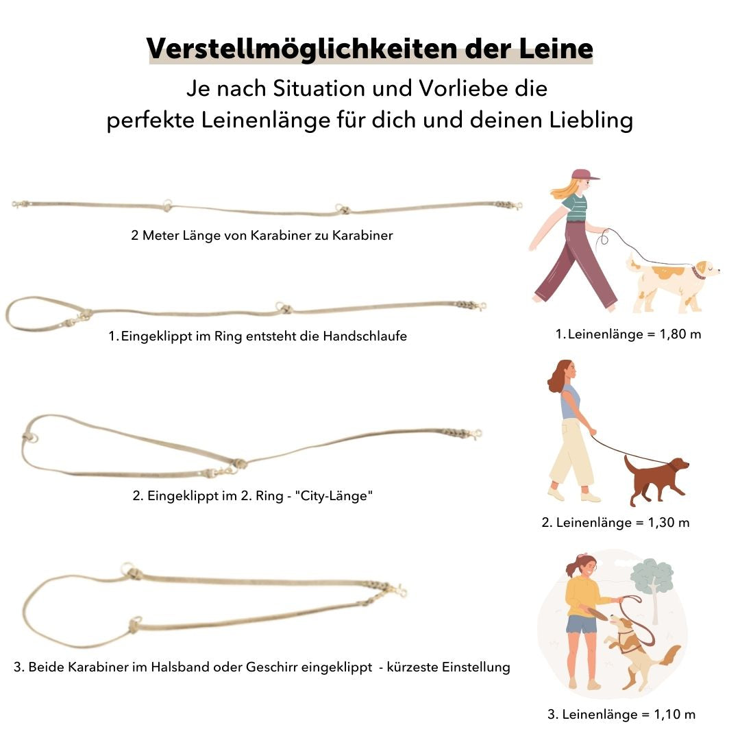 Set | Lederhalsband & Leine in Kastanie