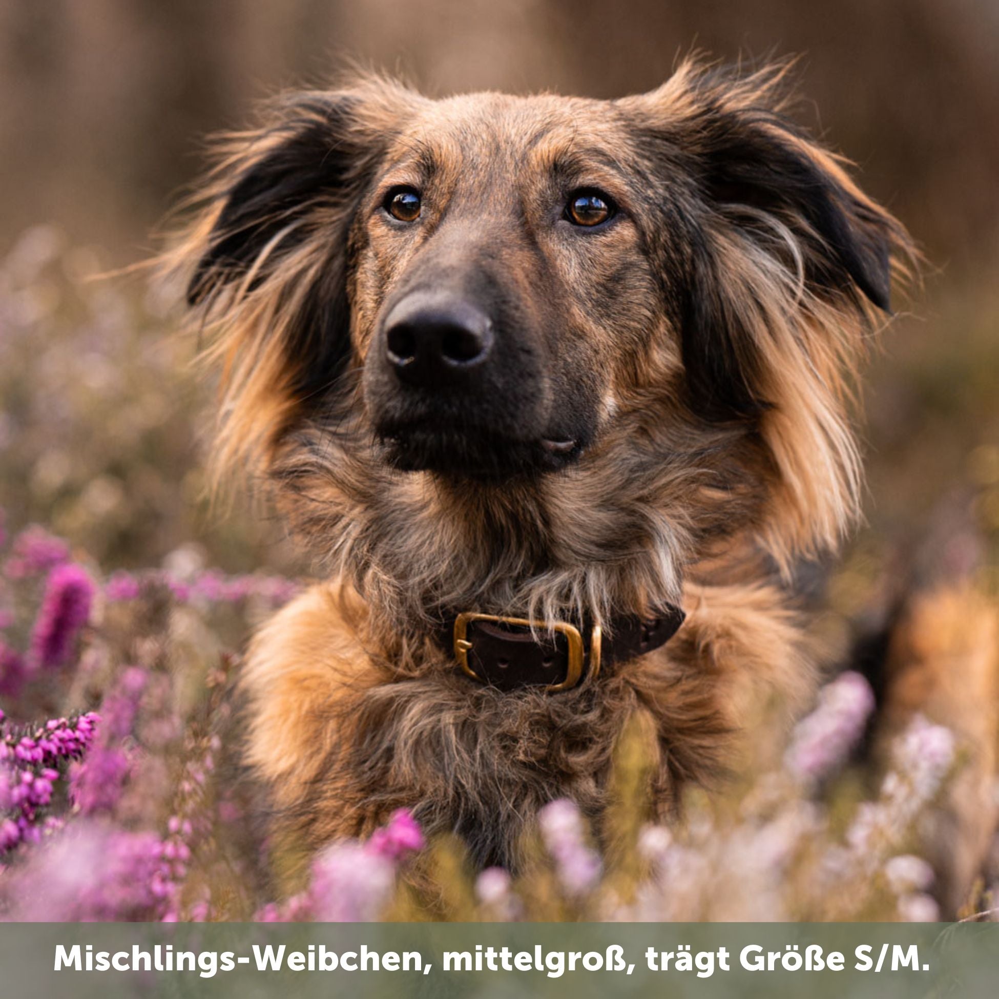 Personalisierbares Lederhalsband  mit Name | Kastanie